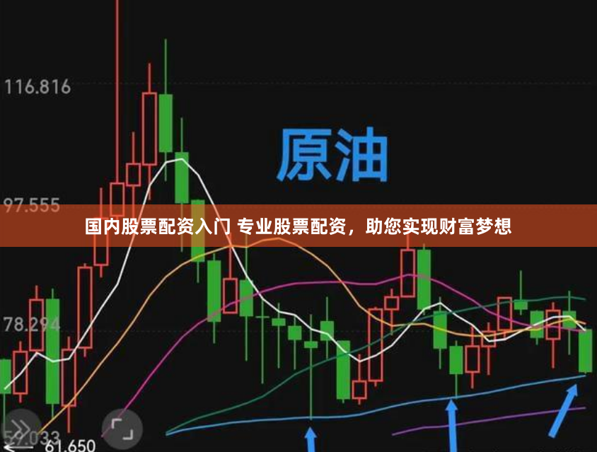 国内股票配资入门 专业股票配资，助您实现财富梦想